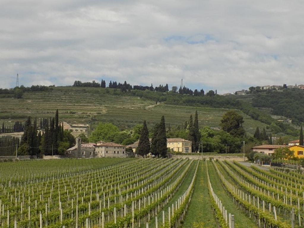 Due Archi SantʼAmbrogio di Valpolicella Exterior foto